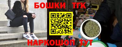 сатива Кингисепп