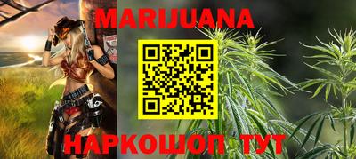 сатива Кингисепп