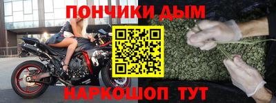 сатива Кингисепп
