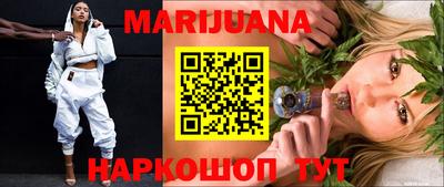 сатива Кингисепп