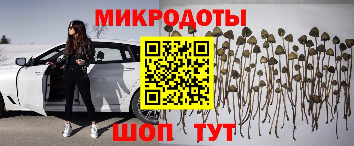 Кострома  Галлюциногенные грибы Psilocybe  Вход с VPN  Галлюциногенные грибы Magic Shrooms 