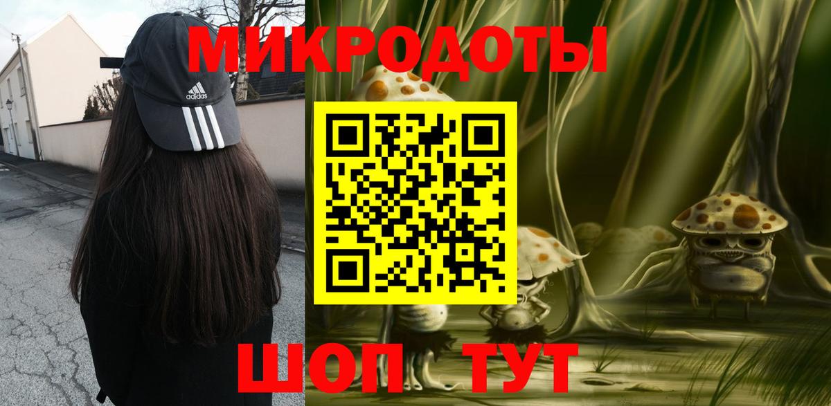 Псилоцибиновые грибы Cubensis Кострома