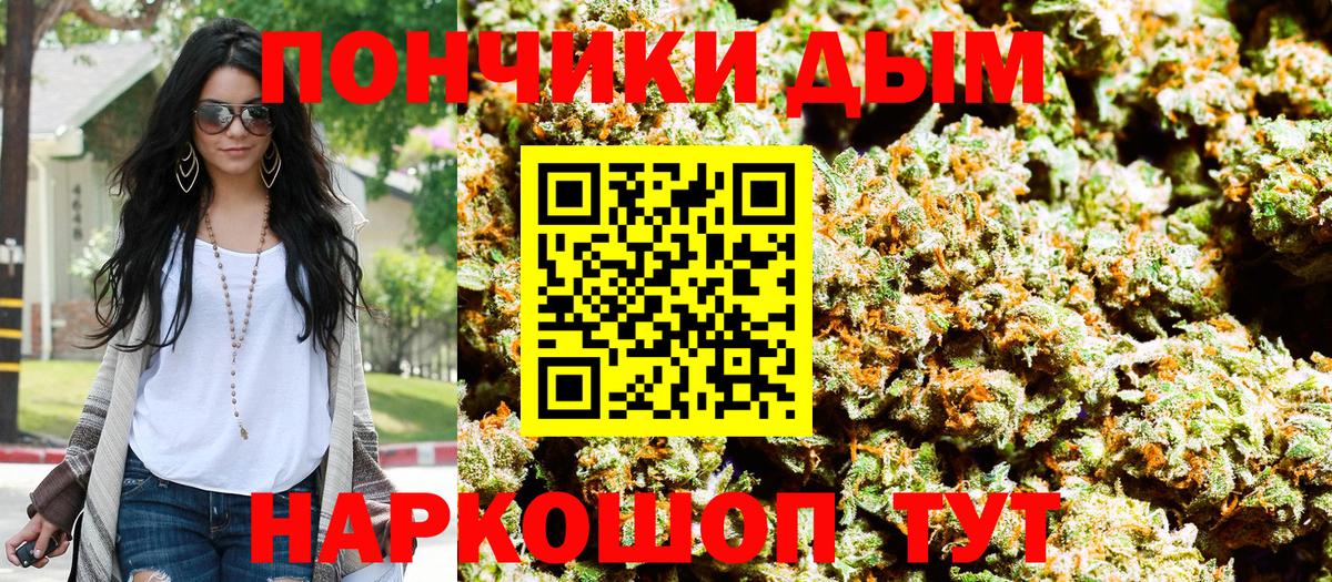 Шишки марихуана семена  Вход с VPN  Бошки марихуана марихуана  Кострома  Бошки Шишки ГИДРОПОН 